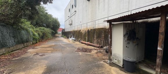  مستودع في Cervello, Spain 1126متر مربع رقم 166117 27