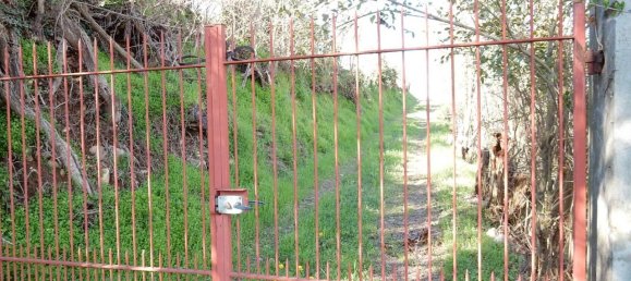 4غرفة منزل في Piozzo, Italy رقم 150222 4