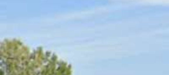 874m² Commercial property in Ponzano Veneto, Italy No. 121538 11