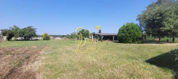 Casa de 3 dormitorios en L'Ile-Bouchard, France No. 76223 14