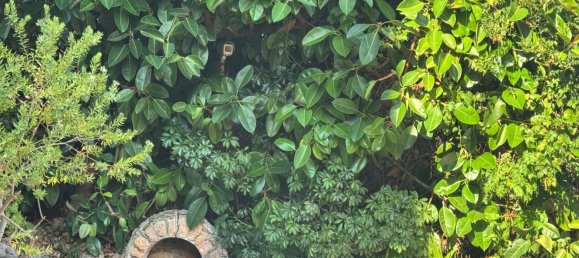 3 rooms Apartment in Sanremo, Italy No. 286608 6