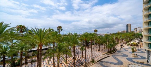 4 bedrooms Apartment in Alicante, Spain No. 155778 15