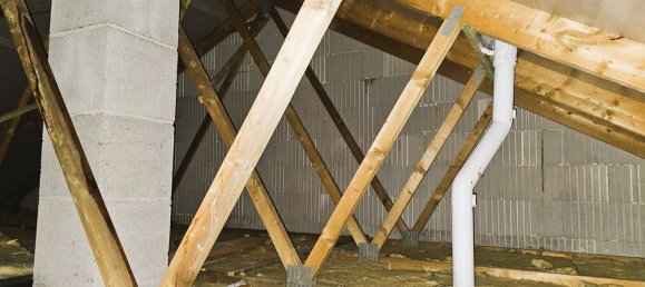 Бунгало с 4 комнатами в Вестервальд, Германия № 101258 15