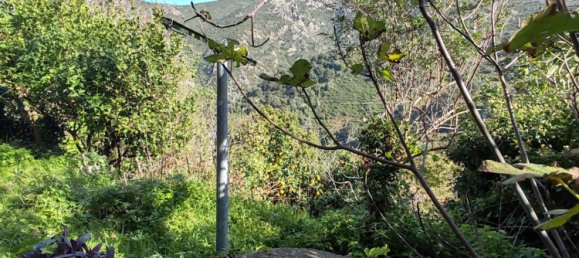 Таунхаус с 3 спальнями в Поджо-д’Олетта, Франция № 154883 2