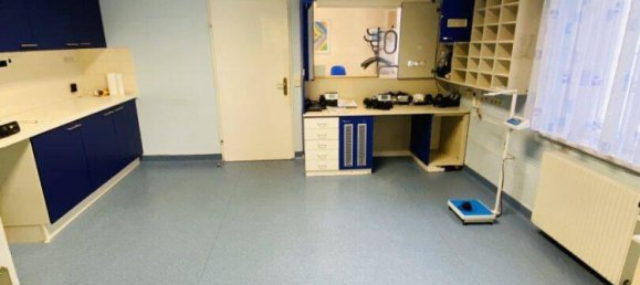 Villa de 11 habitaciónes en Knittelfeld, Austria No. 214618 35