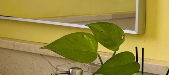 Adosado de 4 dormitorios en Mijas, Spain No. 40963 12