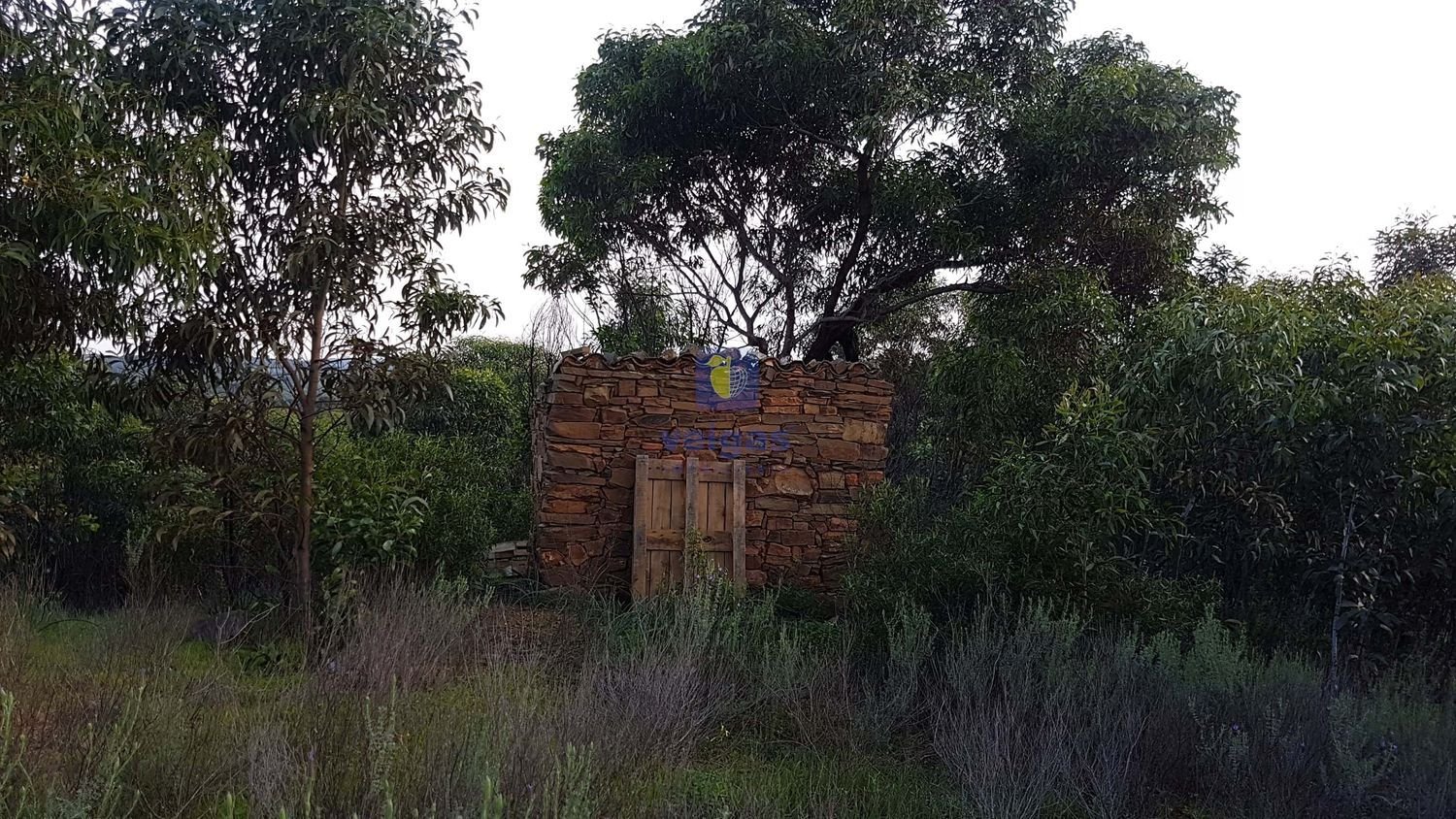 Lagerhaus in Tavira, Portugal 15m², Nr. 209086