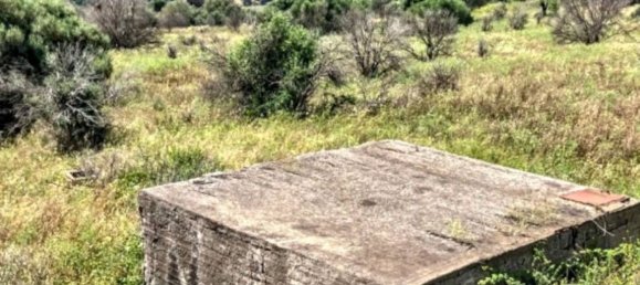 Terreno en Motta Sant'Anastasia, Italy 130229 m² No. 324806 5