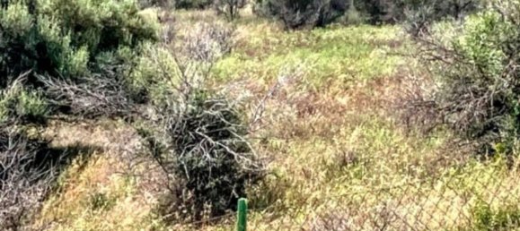 Terreno en Motta Sant'Anastasia, Italy 130229 m² No. 324806 3