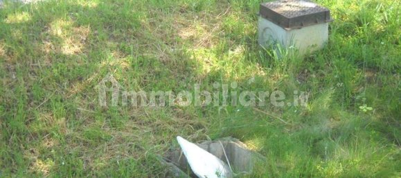 1066m² Warehouse in Casole d'Elsa, Italy No. 325347 5