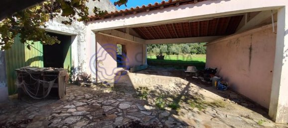 3 Schlafzimmer Haus in Ferreira do Zezere, Portugal, Nr. 14519 18