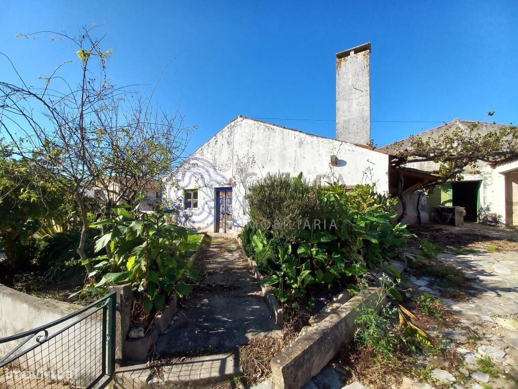 3 Schlafzimmer Haus in Ferreira do Zezere, Portugal, Nr. 14519