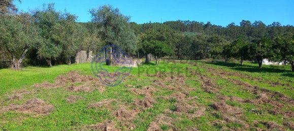 3 Schlafzimmer Haus in Ferreira do Zezere, Portugal, Nr. 14519 28