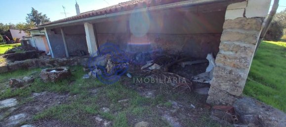 3 Schlafzimmer Haus in Ferreira do Zezere, Portugal, Nr. 14519 24