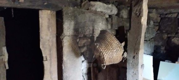 2 bedrooms Villa in Moimenta da Beira, Portugal No. 186001 10