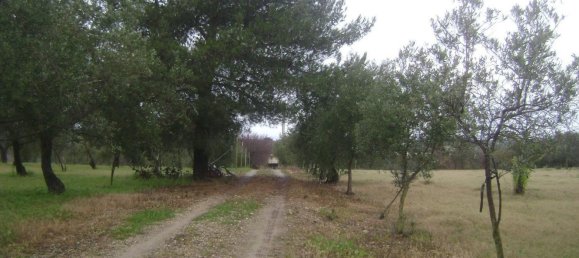 6-Zimmer Haus in Noto, Italy, Nr. 60716 29