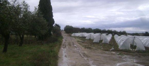 6-Zimmer Haus in Noto, Italy, Nr. 60716 34