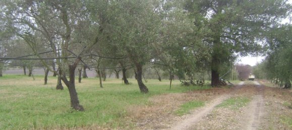 6-Zimmer Haus in Noto, Italy, Nr. 60716 31