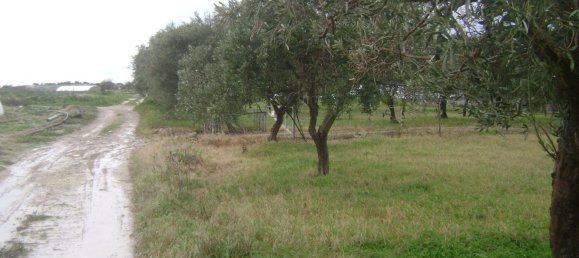 6-Zimmer Haus in Noto, Italy, Nr. 60716 33