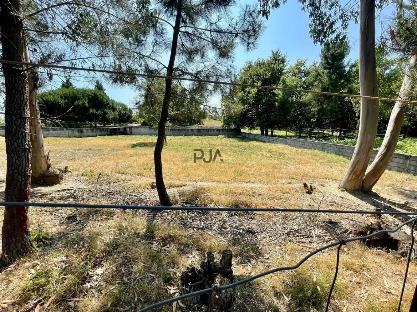  Land in Sao Joao de Areias, Portugal No. 200669