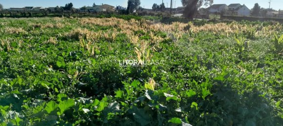 1856m² Land in Aveiro, Portugal No. 151147 2