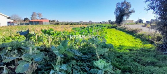 1856m² Land in Aveiro, Portugal No. 151147 12