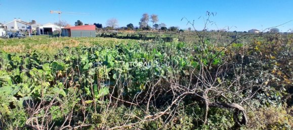 1856m² Land in Aveiro, Portugal No. 151147 6