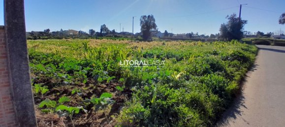 1856m² Land in Aveiro, Portugal No. 151147 15