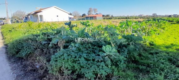 1856m² Land in Aveiro, Portugal No. 151147 11