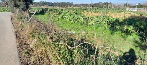 1856m² Land in Aveiro, Portugal No. 151147 4