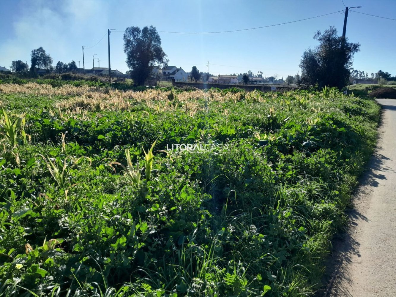 1856m² Land in Aveiro, Portugal No. 151147