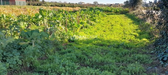 1856m² Land in Aveiro, Portugal No. 151147 3