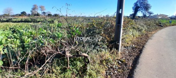 1856m² Land in Aveiro, Portugal No. 151147 5