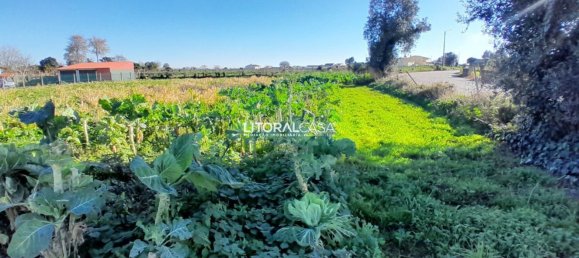 1856m² Land in Aveiro, Portugal No. 151147 13