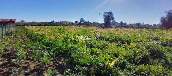 1856m² Land in Aveiro, Portugal No. 151147 14