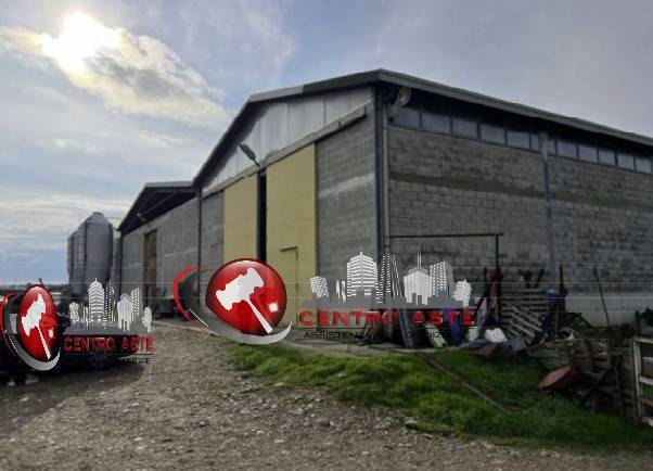 Склад с 5 комнатами в Веноза, Италия № 346303