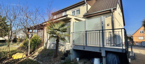 5 bedrooms House in Saint-Louis, France No. 51611 2