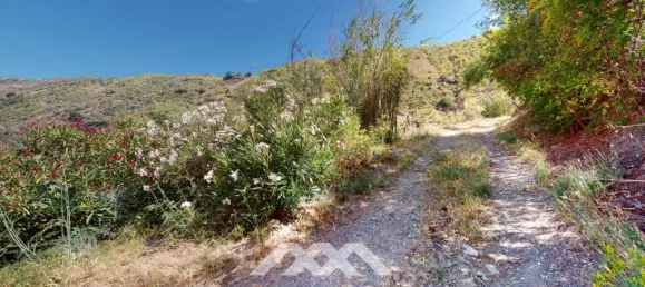 5 bedrooms House in Sedella, Spain No. 42737 50