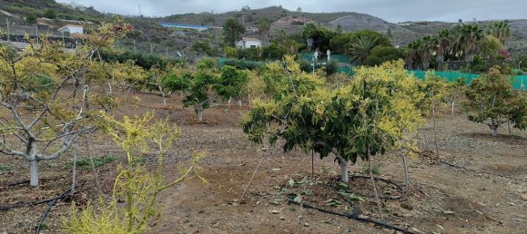 قطعة أرض في Guia de Isora, Spain رقم 157784 21