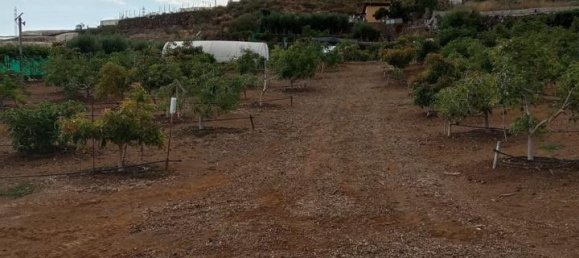 قطعة أرض في Guia de Isora, Spain رقم 157784 31