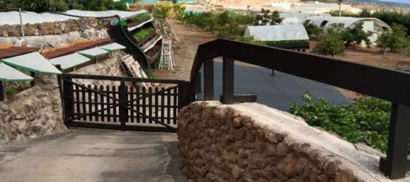 قطعة أرض في Guia de Isora, Spain رقم 157784 19