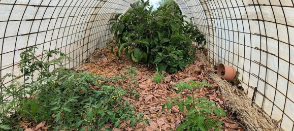 قطعة أرض في Guia de Isora, Spain رقم 157784 17