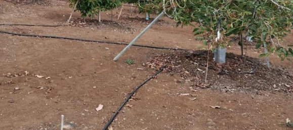 قطعة أرض في Guia de Isora, Spain رقم 157784 23