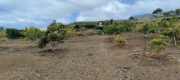 قطعة أرض في Guia de Isora, Spain رقم 157784 22