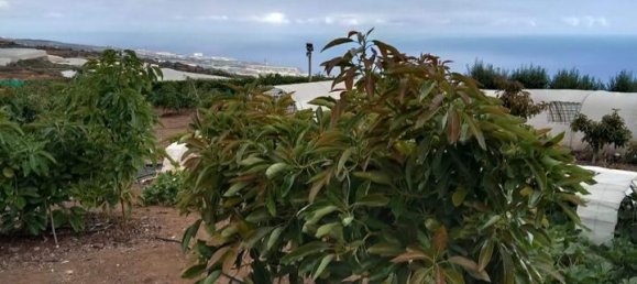 قطعة أرض في Guia de Isora, Spain رقم 157784 40