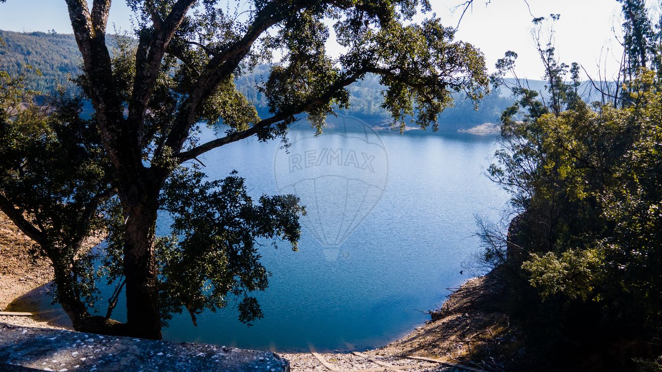 12490m² Land in Santa Comba Dao, Portugal No. 88100