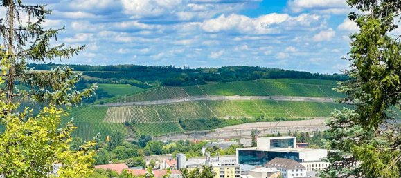 4 chambres Villa à Wurzburg, Germany No. 310754 12