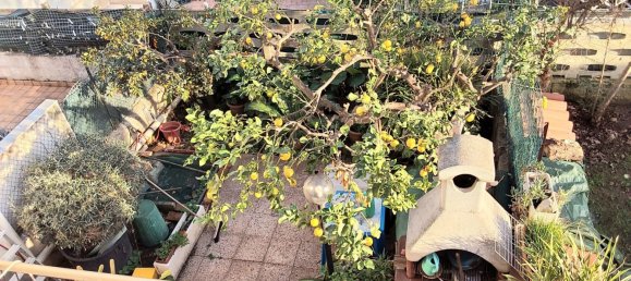 2 chambres Villa à Pomezia, Italy No. 31318 13