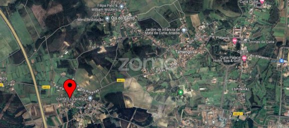 Grundstück in Anadia, Portugal 1277m², Nr. 149555 11