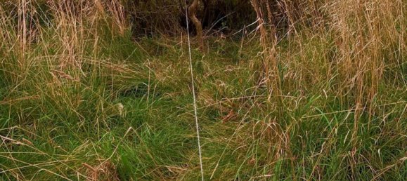  Land in Frankfurt am Main, Germany No. 350952 6